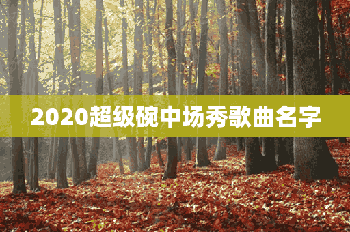 2020超级碗中场秀歌曲名字(2021超级碗中场秀歌曲)